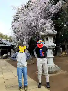 伏木香取神社(茨城県)(2021年04月02日(金) 20時30分13秒投稿)