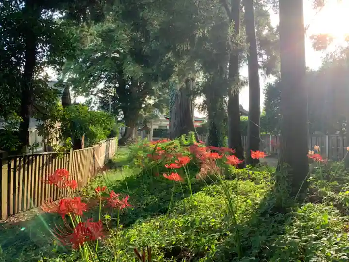 八幡大神の自然