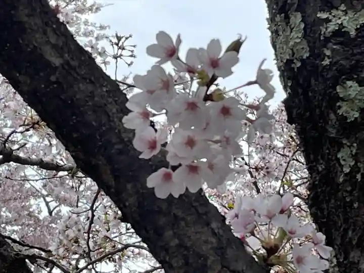 東円寺(山梨県)