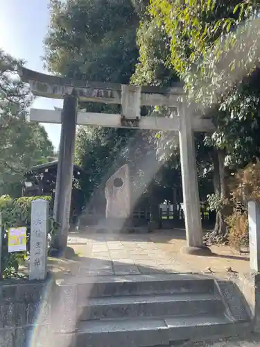 大酒神社(京都府)