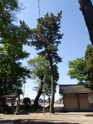味知郷神社の自然