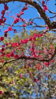 薭田神社(東京都)