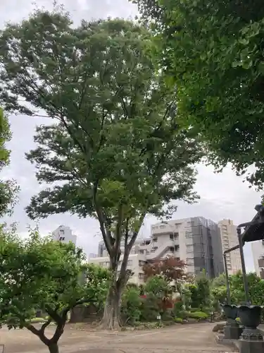瑞円寺(東京都)