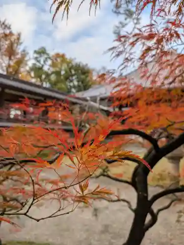 妙法寺(東京都)