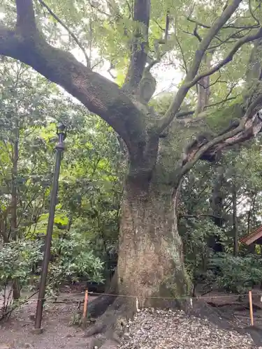 月夜見宮（豊受大神宮別宮）の自然