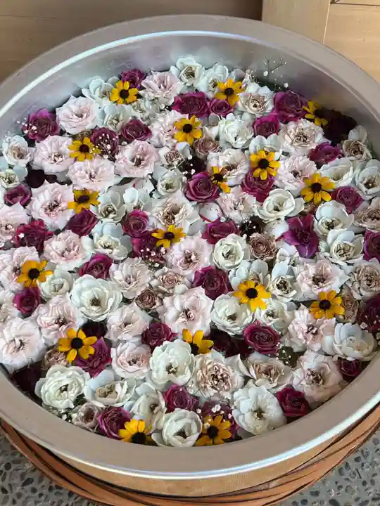 御井神社(岐阜県)