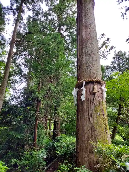 高鴨神社(奈良県)