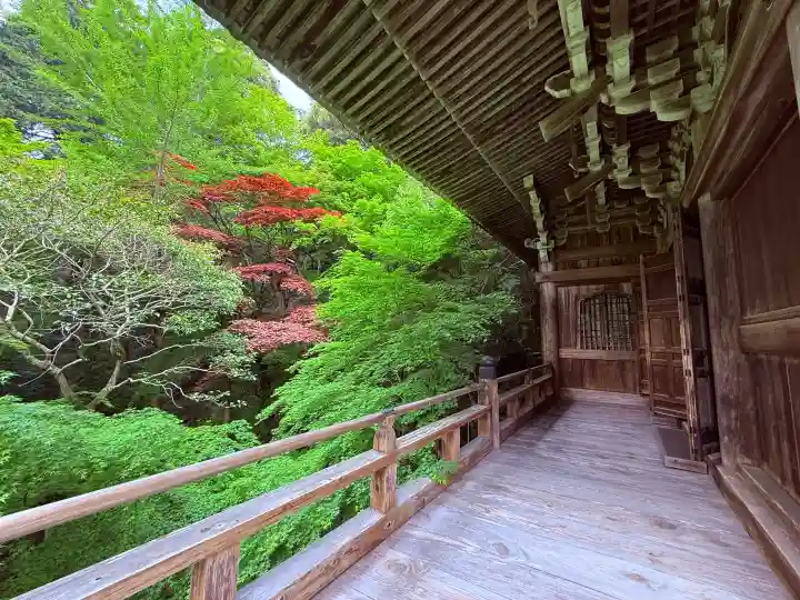 圓教寺の{uncategorized: "未分類", other: "その他", undefined: "問題あり", building: "その他建物", grave: "お墓", sacred_gate: "鳥居", guardian: "狛犬", statue: "像", buddha: "仏像", history: "歴史", nature: "自然", garden: "庭園", animal: "動物", pagoda: "塔", temizu: "手水舎", mountain_gate: "山門・神門", sanctuary: "本殿・本堂", subordinate: "末社・摂社", art: "芸術", scenery: "景色", jizo: "地蔵", ema: "絵馬", goshuin: "御朱印", omikuji: "おみくじ", items: "授与品その他", amulet: "お守り", goshuincho: "御朱印帳", eats: "食事", festival: "お祭り", votive_dance: "神楽", shichigosan: "七五三参", wedding: "結婚式", experience: "体験その他", initially: "初詣", around: "周辺", anti_infection: "感染症対策"}