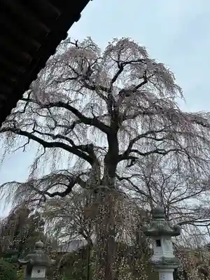 阿弥陀寺のその他建物