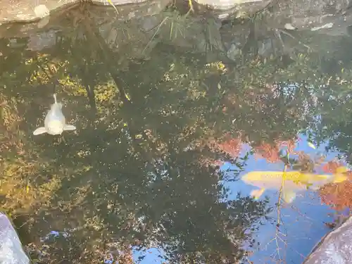 宇賀神社(神奈川県)