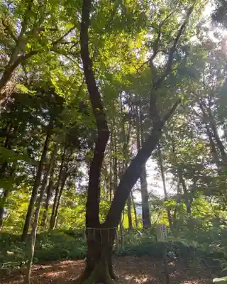 七座神社の自然