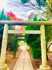 冨士浅間神社(茨城県)