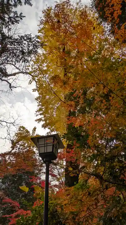 長岡天満宮(京都府)