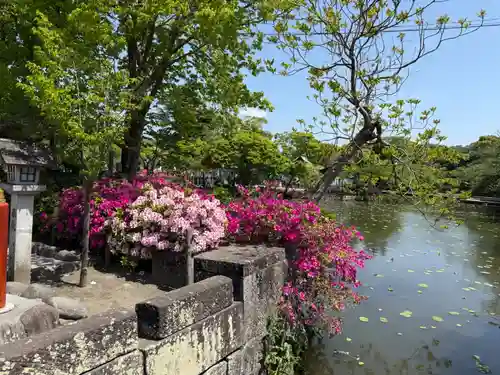 鶴岡八幡宮の庭園