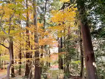 乾徳寺(滋賀県)