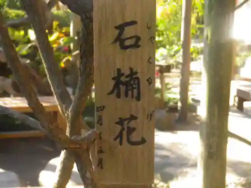 長谷寺のその他建物