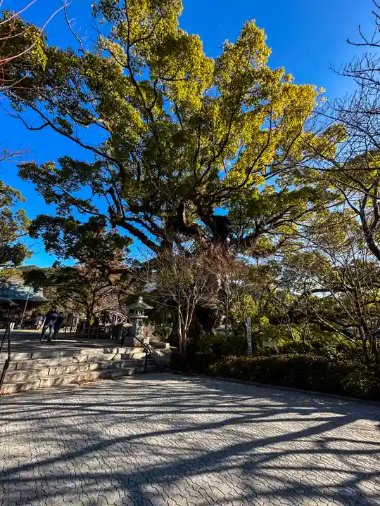 與止日女神社(佐賀県)