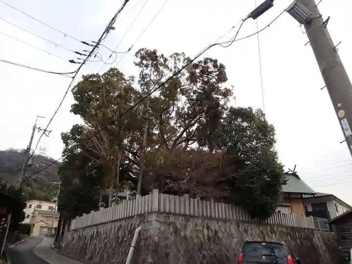 常世岐姫神社の周辺
