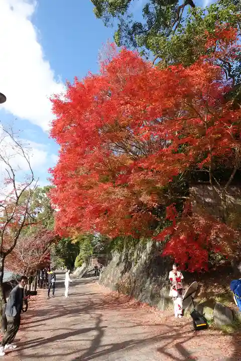 興聖寺(興聖寶林禅寺)(京都府)