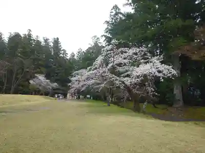 大斎原（熊野本宮大社旧社地）(和歌山県)