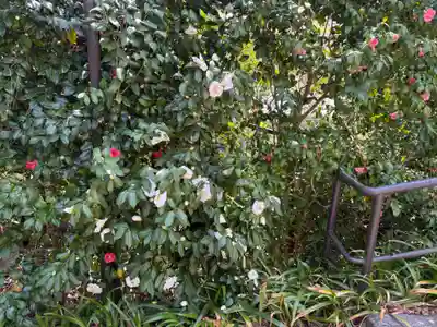 勝尾寺(大阪府)