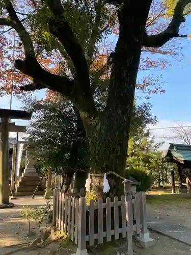 大神神社（花池）(愛知県)