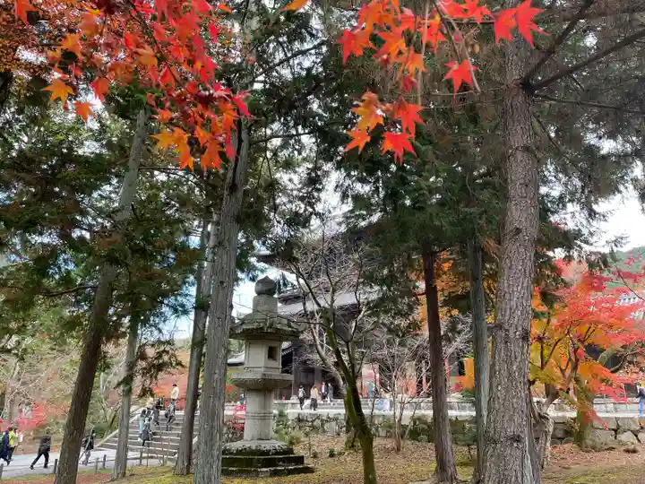 南禅院(京都府)