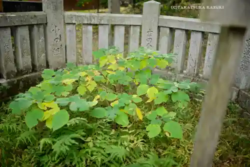 諏訪大社上社前宮(長野県)