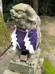 小倉八幡神社の狛犬