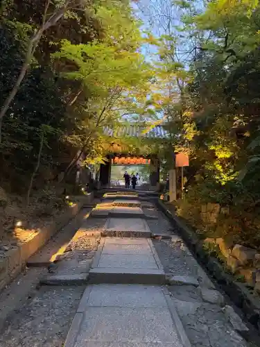 高台寺（高台寿聖禅寺・高臺寺）の{uncategorized: "未分類", other: "その他", undefined: "問題あり", building: "その他建物", grave: "お墓", sacred_gate: "鳥居", guardian: "狛犬", statue: "像", buddha: "仏像", history: "歴史", nature: "自然", garden: "庭園", animal: "動物", pagoda: "塔", temizu: "手水舎", mountain_gate: "山門・神門", sanctuary: "本殿・本堂", subordinate: "末社・摂社", art: "芸術", scenery: "景色", jizo: "地蔵", ema: "絵馬", goshuin: "御朱印", omikuji: "おみくじ", items: "授与品その他", amulet: "お守り", goshuincho: "御朱印帳", eats: "食事", festival: "お祭り", votive_dance: "神楽", shichigosan: "七五三参", wedding: "結婚式", experience: "体験その他", initially: "初詣", around: "周辺", anti_infection: "感染症対策"}