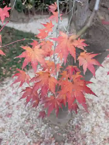 高円寺(東京都)