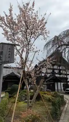 満願寺(京都府)