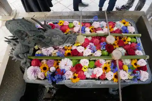 柳谷観音　楊谷寺の手水舎