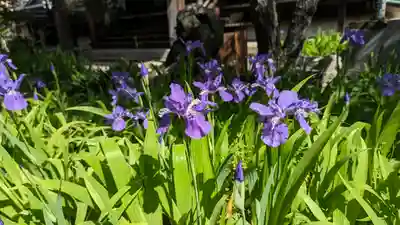 得浄明院(善光寺別院)(京都府)
