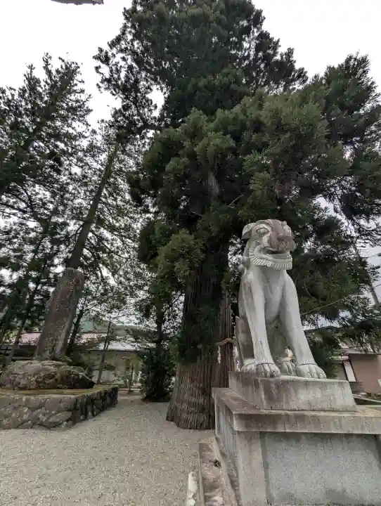 飛驒一宮水無神社(岐阜県)