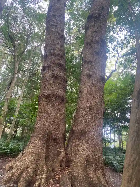 伊雜宮(皇大神宮別宮)(三重県)