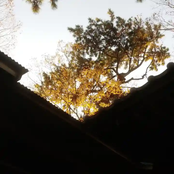 中曽根天祖神社の景色