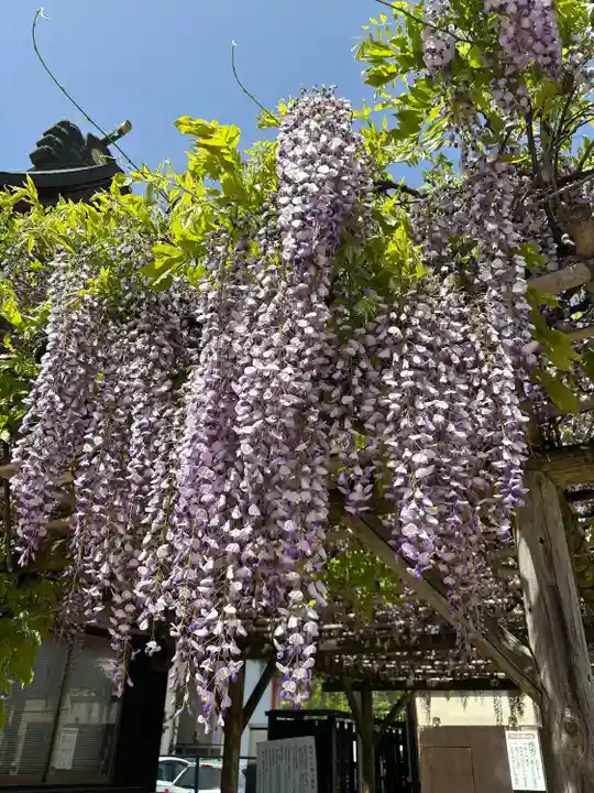 福島稲荷神社(福島県)