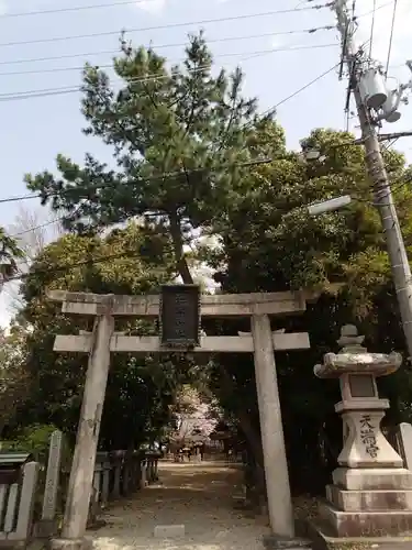 池坐朝霧黄幡比賣神社の鳥居