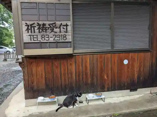 八幡社（柏井町）の動物