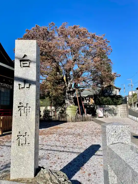 白山神社のその他建物