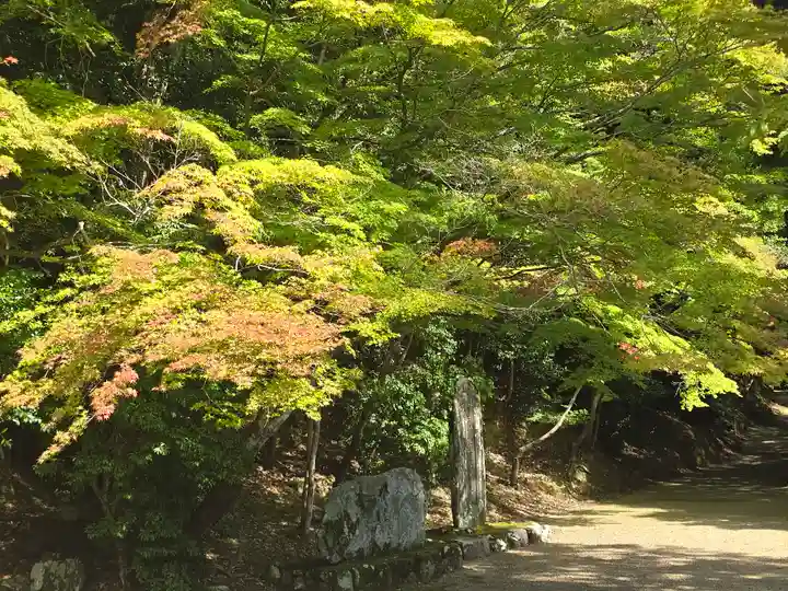 地藏院(京都府)