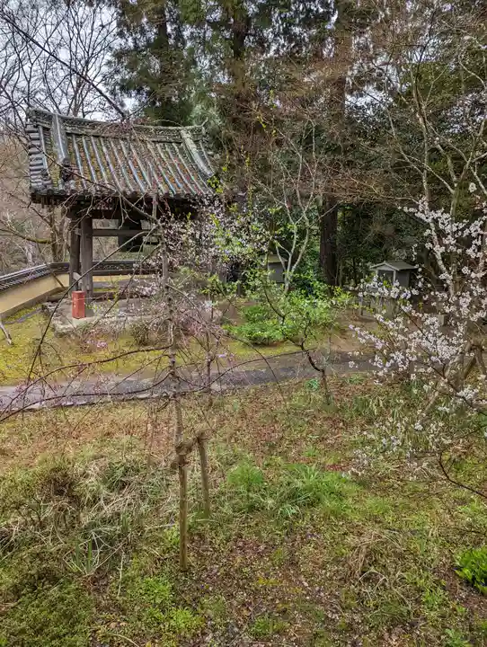 十輪寺(京都府)