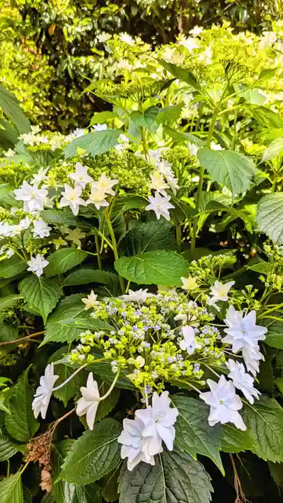久國神社の自然