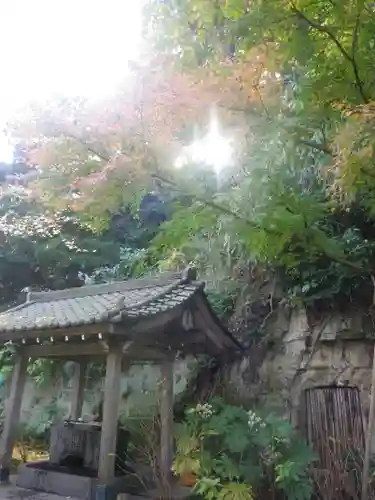 安國論寺（安国論寺）の手水舎