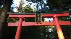 箱根神社の鳥居