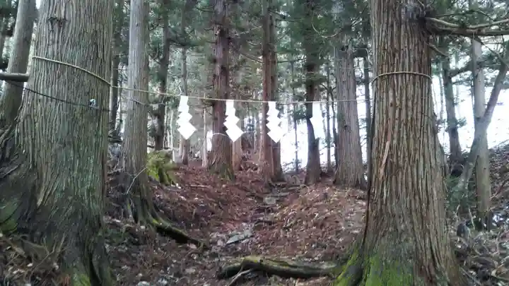 鵜鳥神社の自然