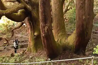 祖母神社(熊本県)