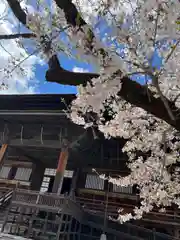 善光寺の本殿