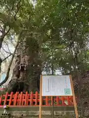 新田神社(鹿児島県)